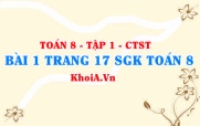 Bài 1 trang 17 SGK Toán 8 Tập 1 Chân trời sáng tạo